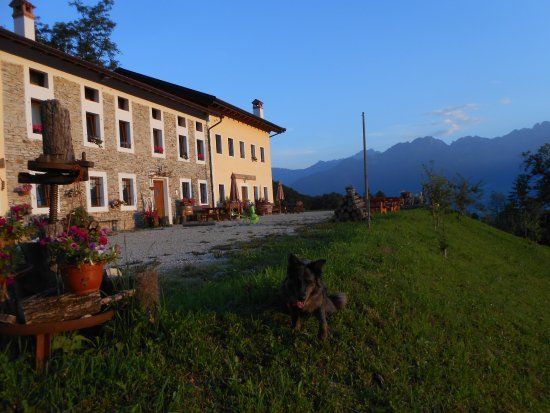 Agriturismo La Casa nei Boschi