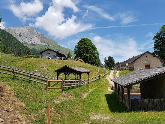 Ristorante dell'Agriturismo Malga Tovre