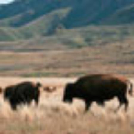 Dolom'Ice Gelateria Artiginale