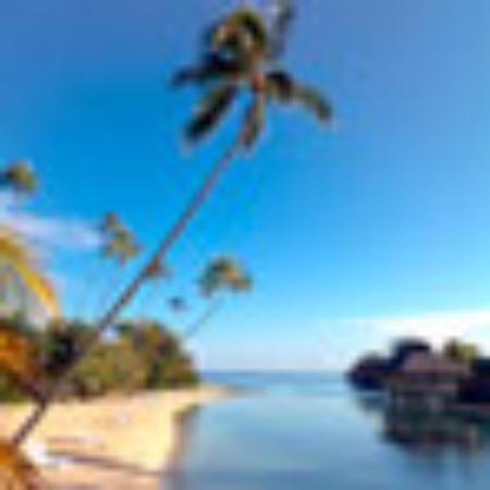 Bar Pasticceria Zita