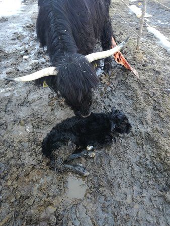 Societa Agricola Fontana