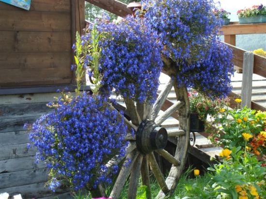 Rifugio Passo Incisa
