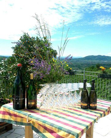 Agriturismo La Rondine