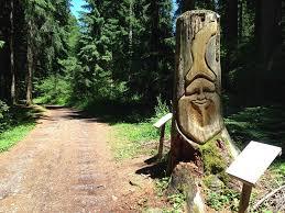 Sentiero Degli Gnomi