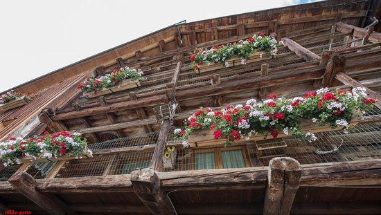 Agriturismo Ristorante Piccola Baita