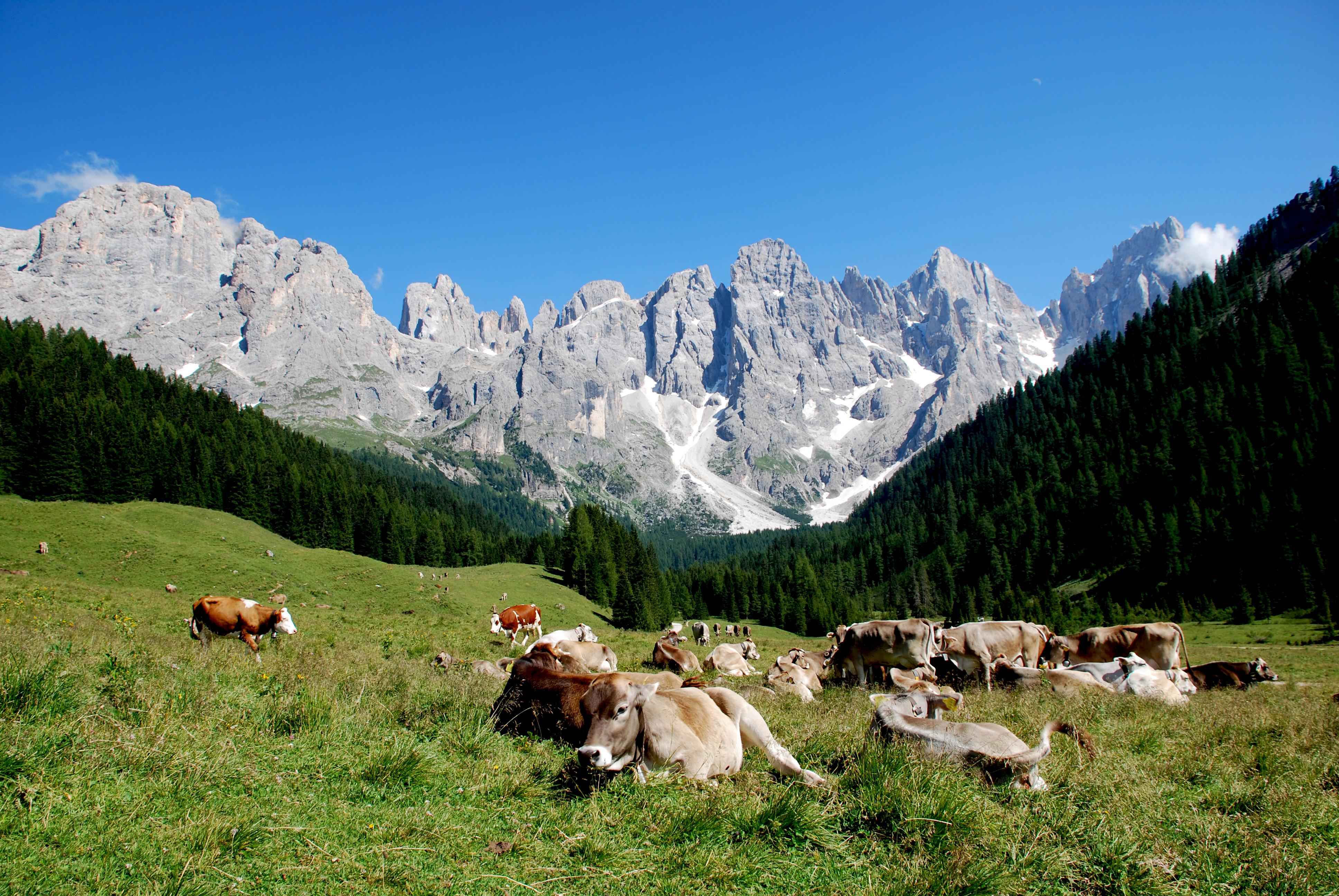 Parco Naturale Paneveggio Pale di San Martino