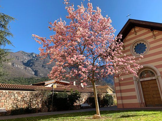 Biblioteca Pubblica Comunale