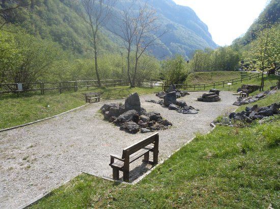 Giardino Botanico Campanula morettiana