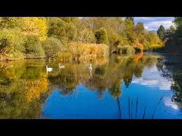 Laghetti della Rimonta