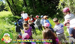 Il Cason delle Meraviglie